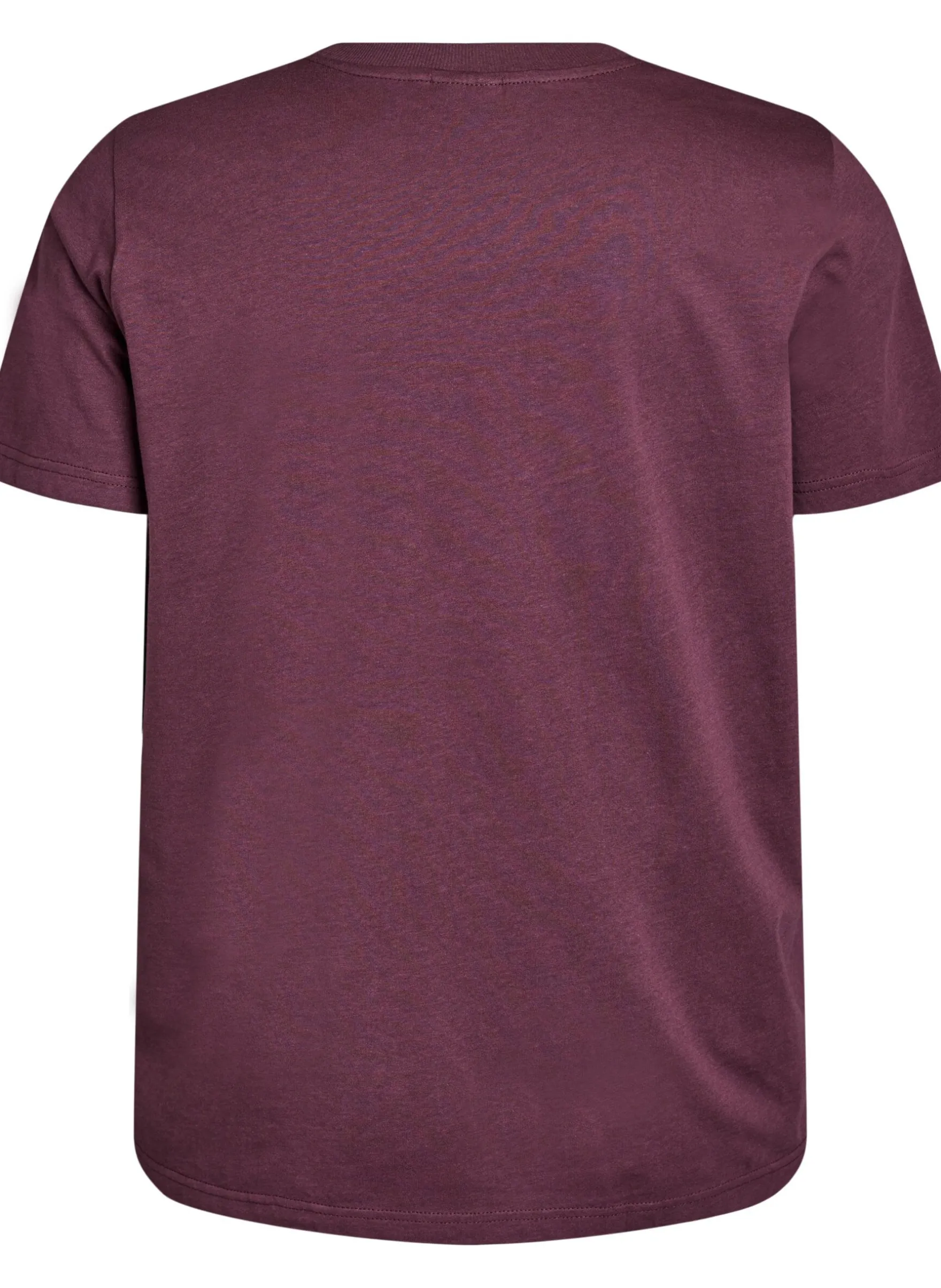 Basic-T-Shirt aus Baumwolle mit Rundhalsausschnitt
