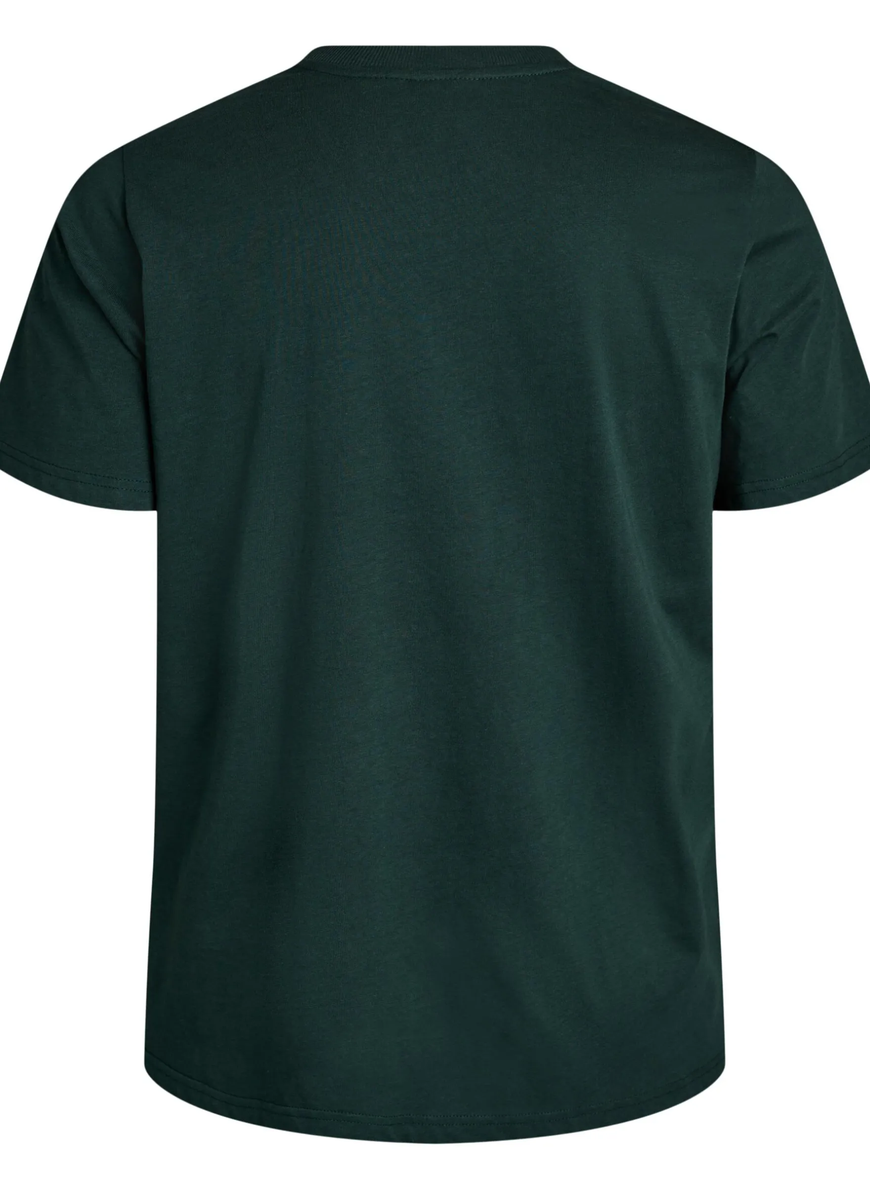 Basic-T-Shirt aus Baumwolle mit Rundhalsausschnitt