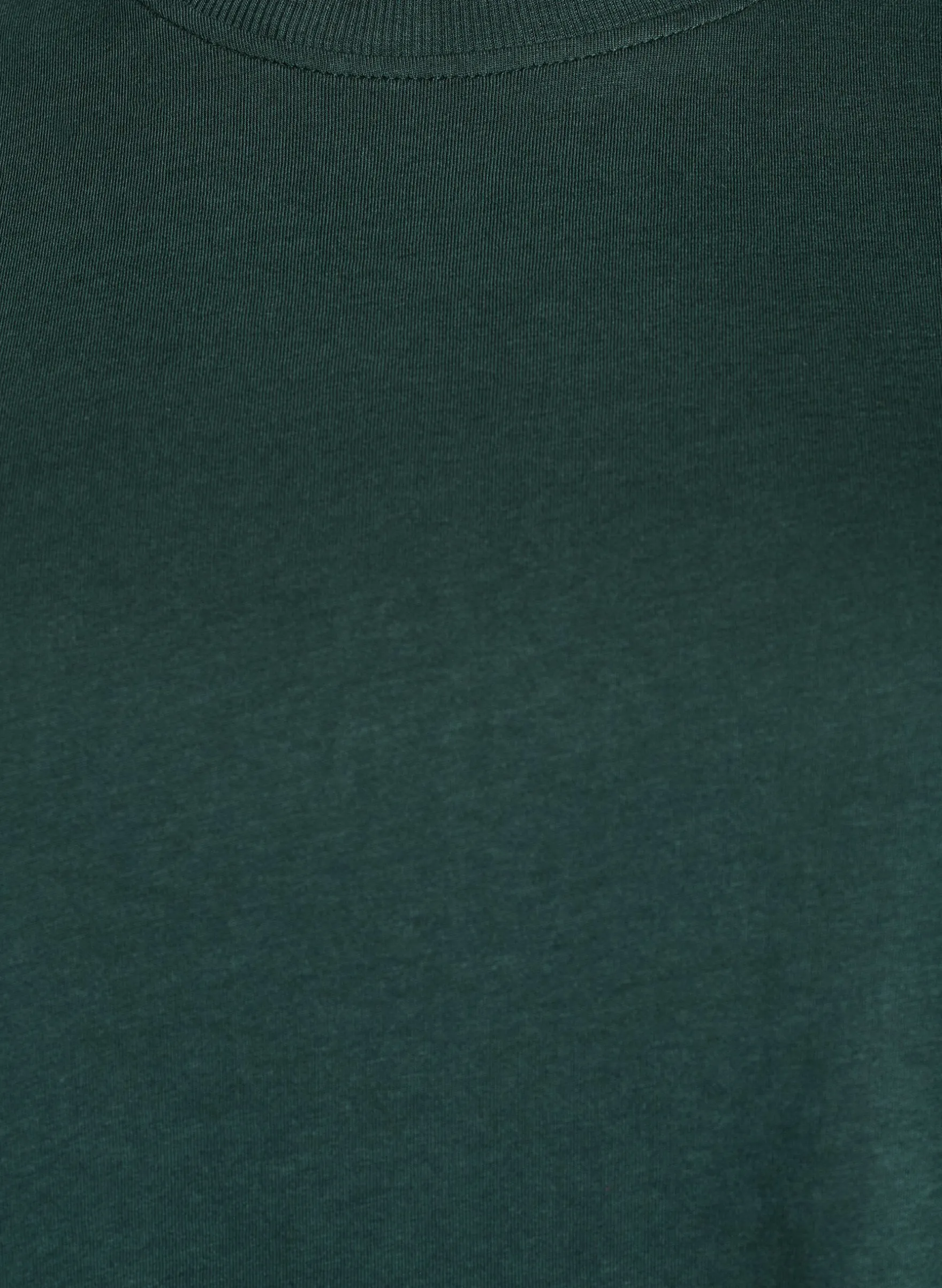 Basic-T-Shirt aus Baumwolle mit Rundhalsausschnitt