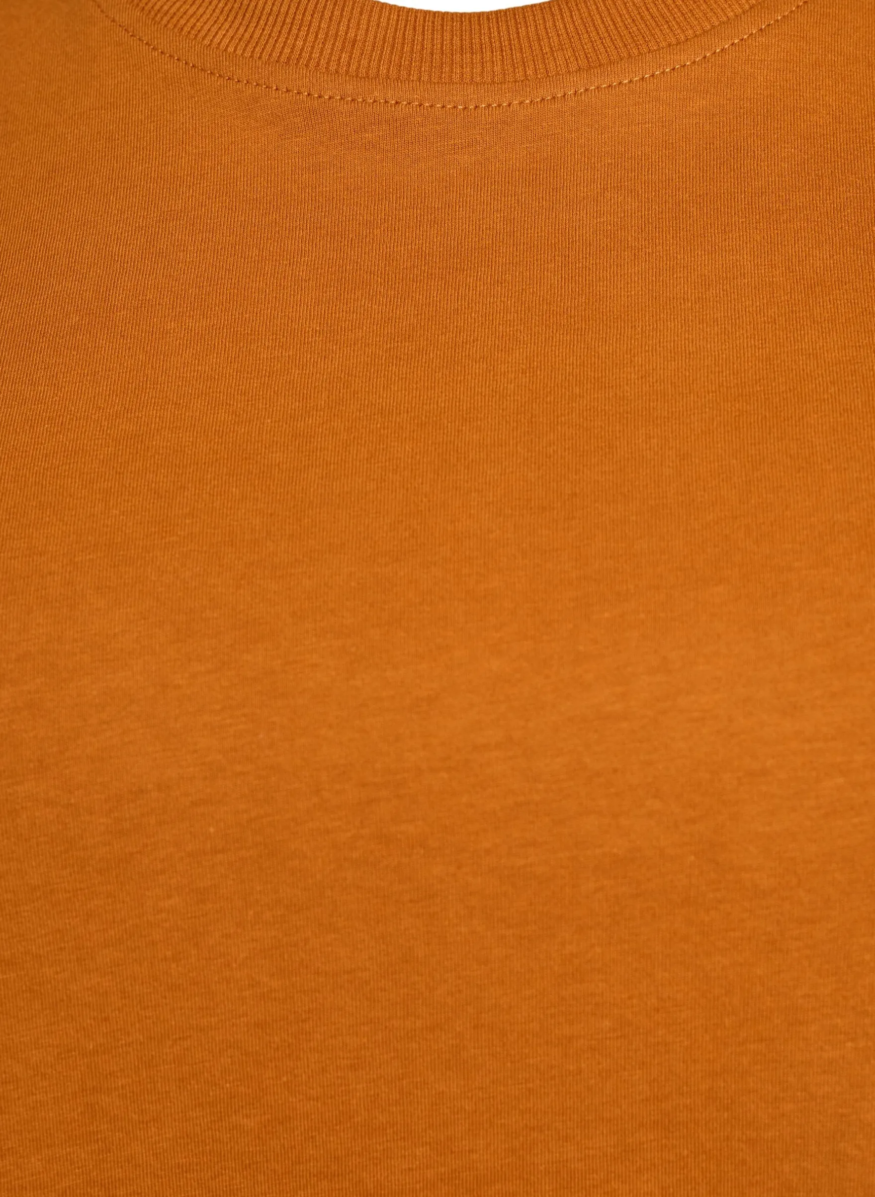 Basic-T-Shirt aus Baumwolle mit Rundhalsausschnitt