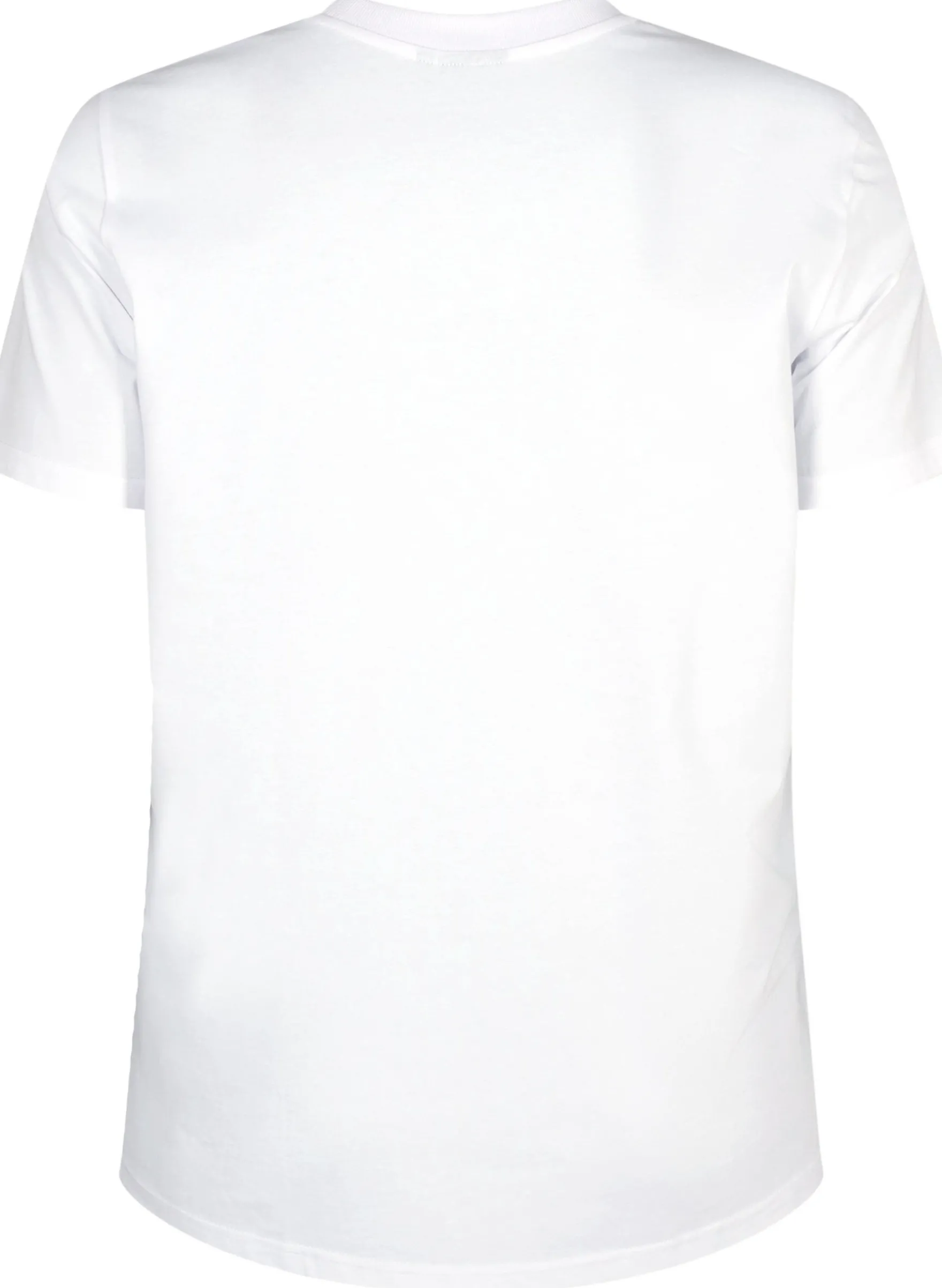 Basic-T-Shirt aus Baumwolle mit Rundhalsausschnitt