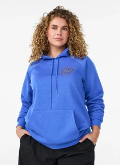 Hoodie mit gesticktem Frontmotiv