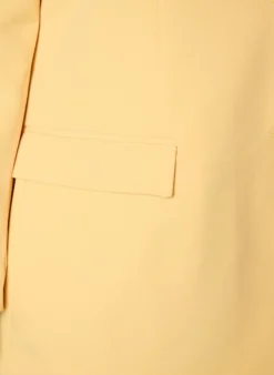 Klassischer Blazer mit Knopfverschluss