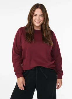 Sweatshirt mit Fransen