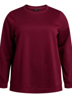 Sweatshirt mit Fransen
