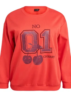 Sweatshirt mit Motiv auf der Vorderseite